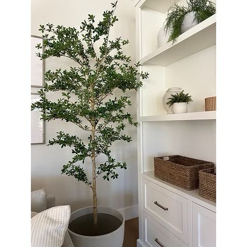 8' Shady Lady Faux Tree – My Store