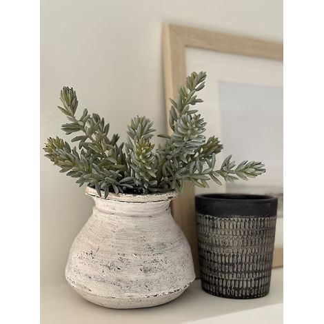 dried succulent stem 9" Succulent Stem Light Green – My Store